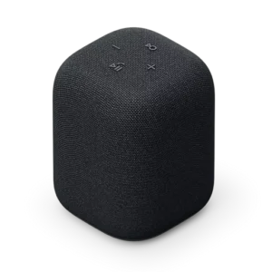SONY SRSLS1 LinkBuds Speaker Wireless Portable Speaker